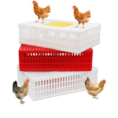 Ladă de transport pentru pui din plastic 35″LX 23.5″WX 10.25″