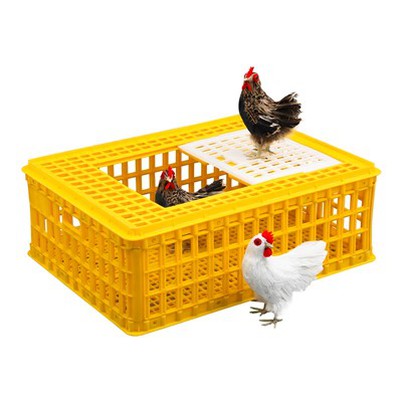 Ladă de pui din plastic cu ușă glisantă