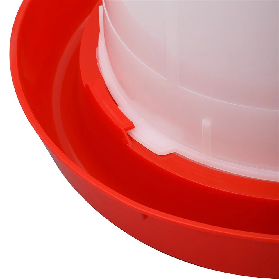 Chickens Feeding Water Container