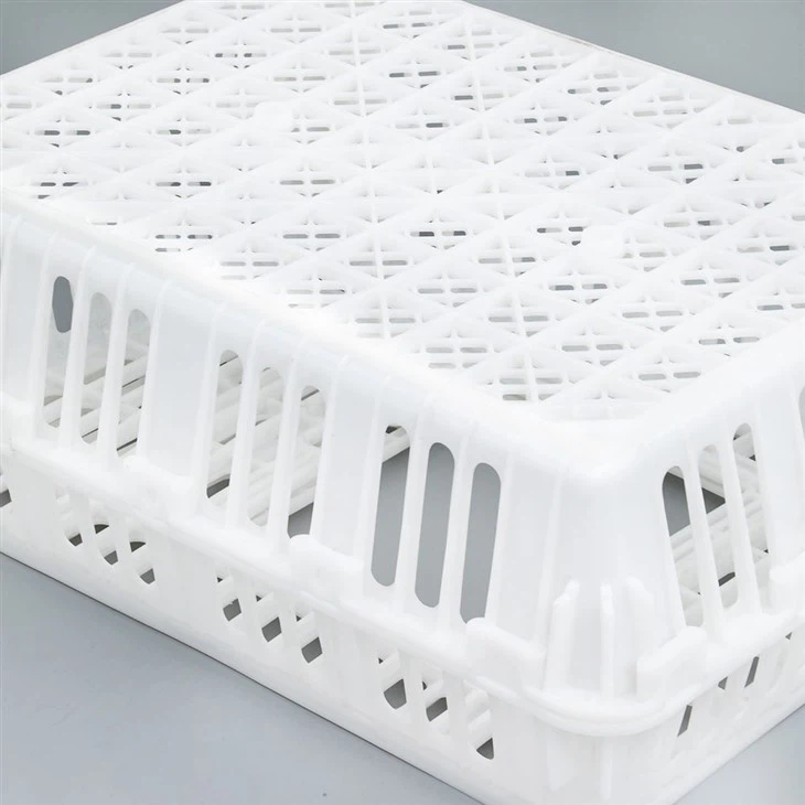 Live Poultry Plastic Crate