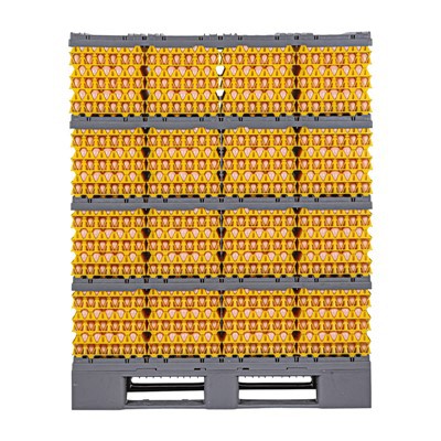 Sistemul de transport a ouălor