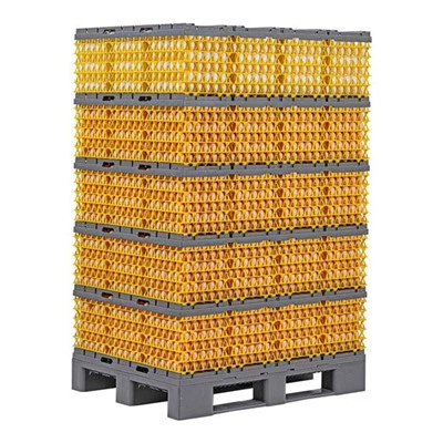 Sisteme de palete de ouă pentru animale