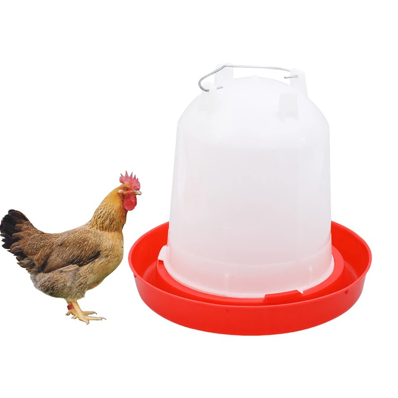 Water Feeding Drinker